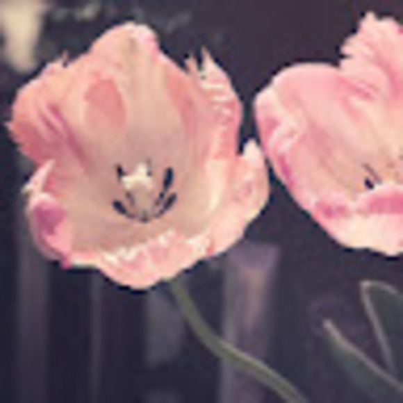 Meet your Posher, Mashaal - Picture 1 of 1